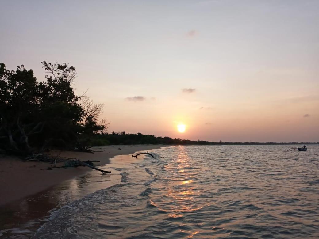 Giman Free Beach Resort Passikudah Extérieur photo
