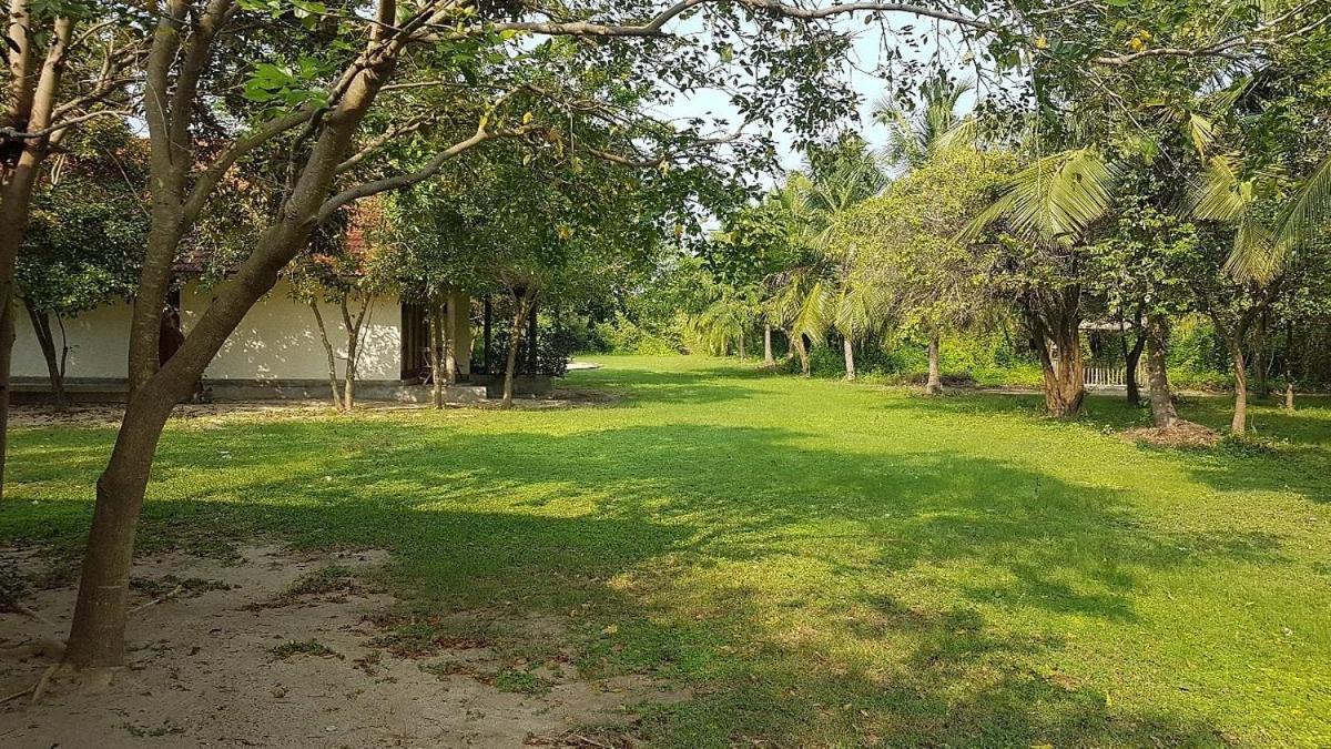 Giman Free Beach Resort Passikudah Extérieur photo